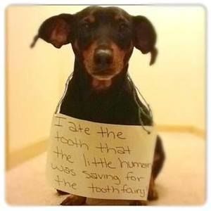 Meet your Posher, Connie